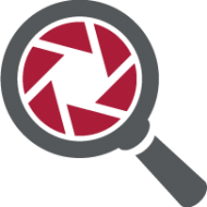 Theft Detective