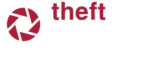 Theft Detective
